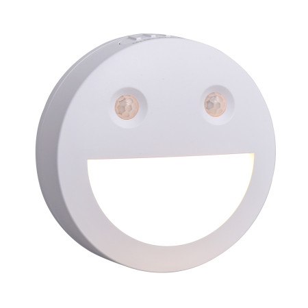 Led smart night Light SN2